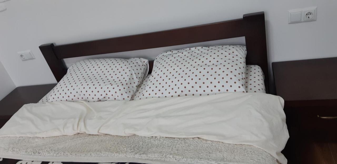 Transfer Apartment Lviv Extérieur photo